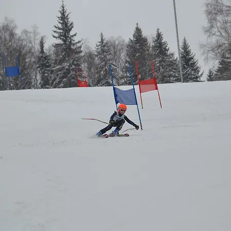 Sportino * Svoboda nad Úpou