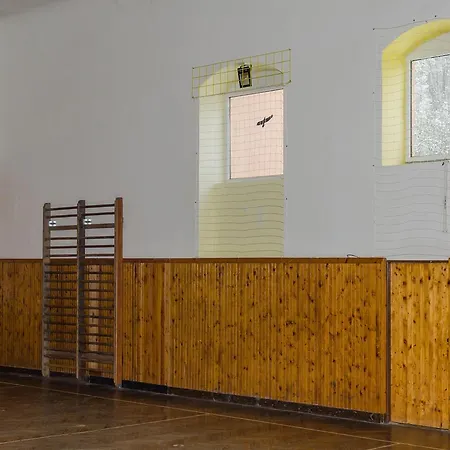 Sportino
